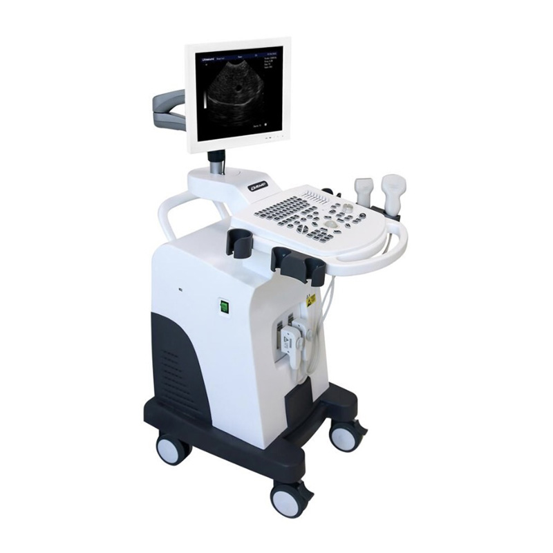 Black And White Ultrasound Machine DW-350