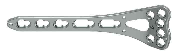 Multiaxial Distal Radius Locking Plate