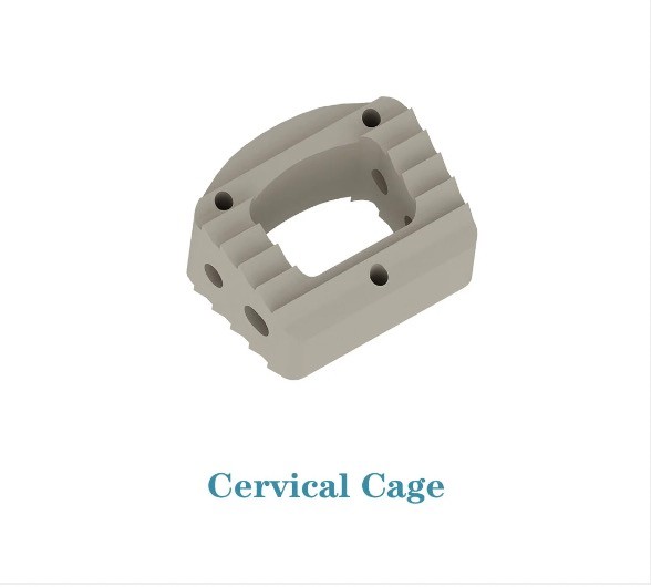 Cervical  Cage