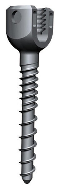 Monoaxial Pedicle Screw