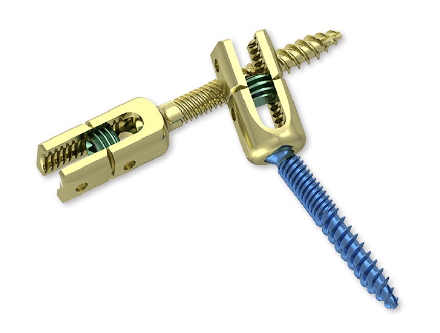 Polyaxial Reduction Pedicle Screw