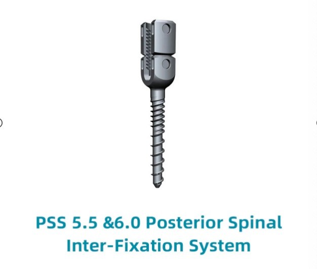 Monoaxial Reduction Pedicle Screw